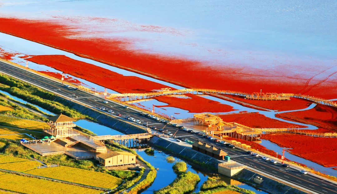 盘锦,美丽土地的独特魅力🌿