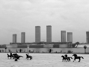 鄂尔多斯千年风情，草原明珠的探寻之旅